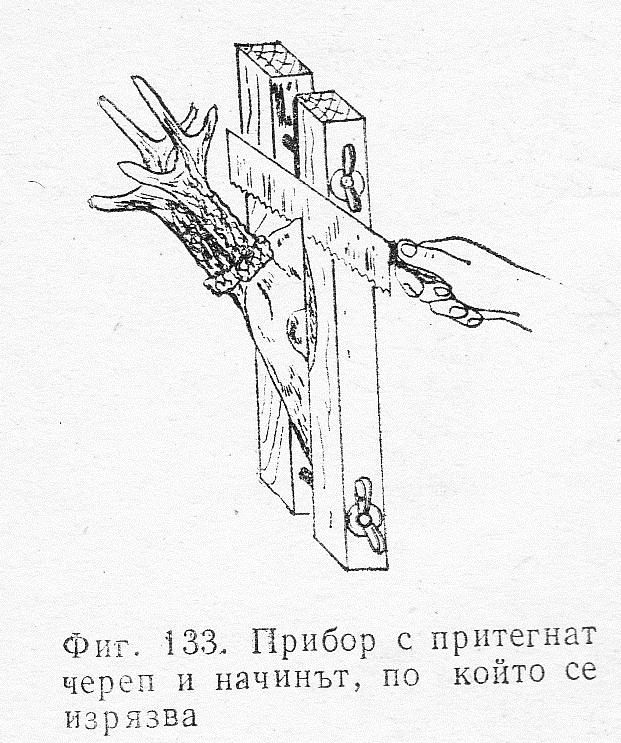 Прибор 1