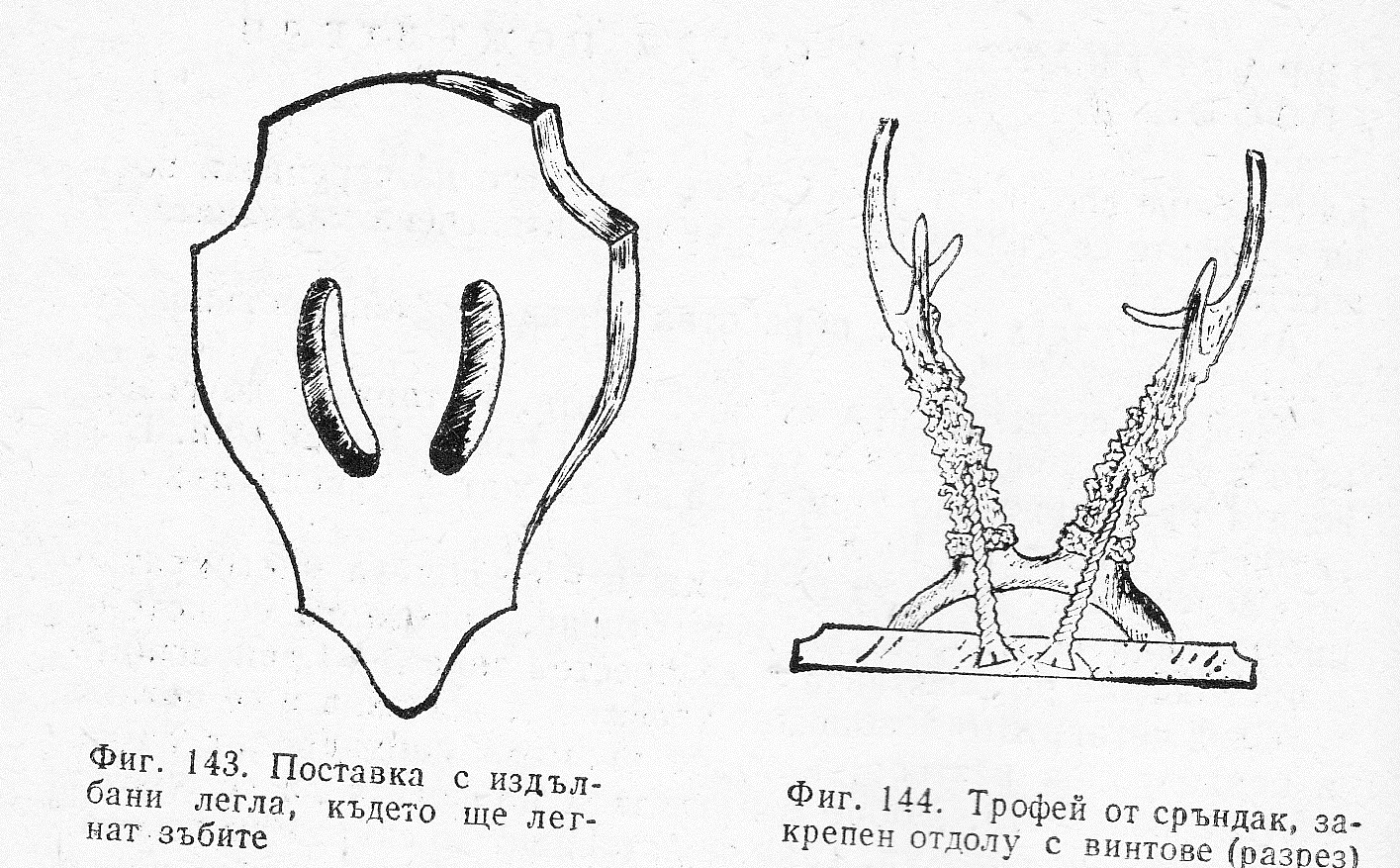 Поставка с издължени легла