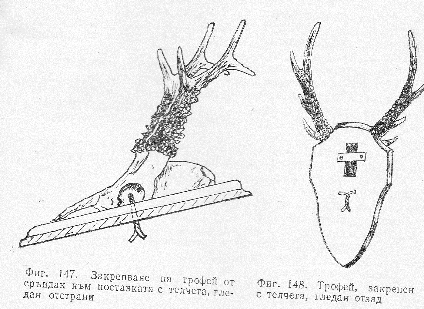 Закрепване на трофеи