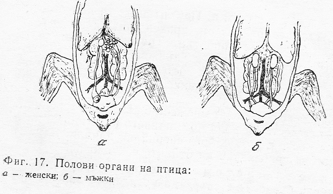 Подготовка за одиране