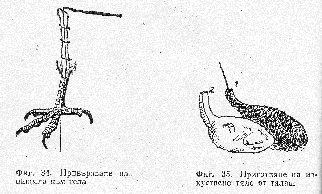 Препариране 30