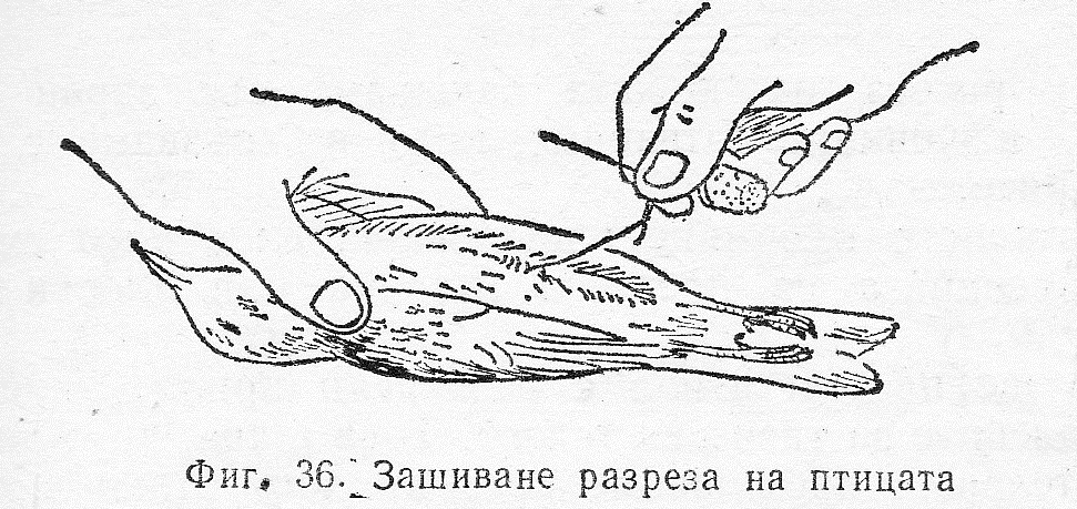 Зашиване на разреза