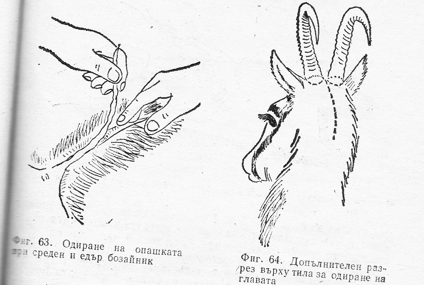 Одиране опашка