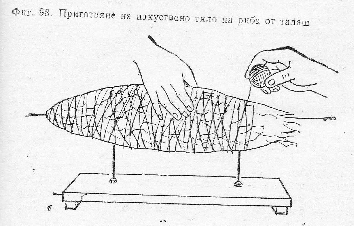 Тяло на риба от талаш