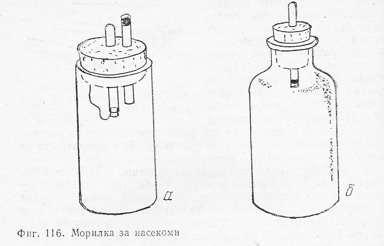 Морилка за насекоми