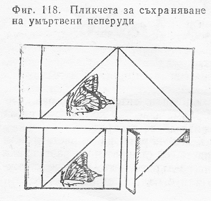 Пликчета за умъртвени пеперуди