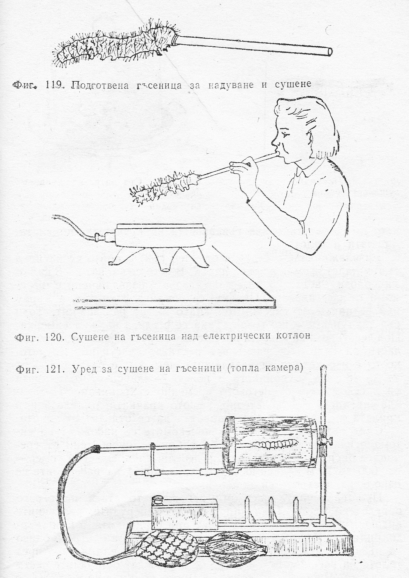 Сушене на гъсеници