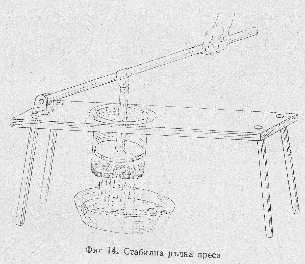 Сокове 13