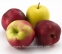 Отглеждане на ябълка- Овощен Разсадник ЕЛИТ