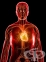 Управление на високо кръвно налягане-внимавайте с какво се храните