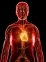 Високо кръвно налягане – признаци и симптоми 