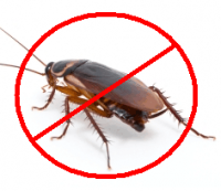 Опасни вредители ли са хлебарките?